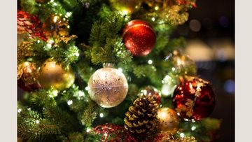 Festive fun at Elstree Court